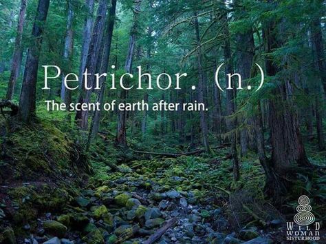 Petrichor: the scent of earth after rain Wild Woman Sisterhood, Wild Women Sisterhood, Writer Tips, Uncommon Words, Medicine Woman, After Rain, Earthy Scent, Wild Woman, Prayer Book