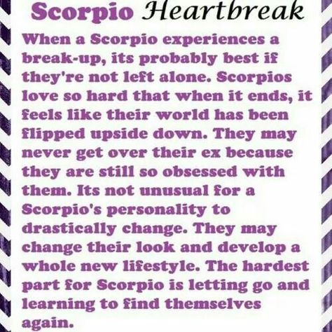 Scorpio Heartbreak Scorpio Ascendant, Scorpio Personality, All About Scorpio, Zodiac Quotes Scorpio, Astrology Scorpio, Scorpio And Libra, Scorpio Traits, Zodiac Signs Chart, Scorpio Zodiac Facts