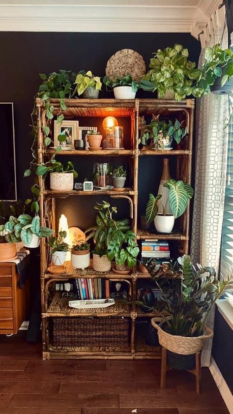 Bookshelf Styling Cottagecore, Library And Plant Room, Boho Dining Room Apartment, Bedroom With Plants And Books, Creative Houseplant Displays, Bookcase With Plants, Plant Bedroom Aesthetic Boho, House Plants Aesthetic Bohemian, Home Library Ideas Boho