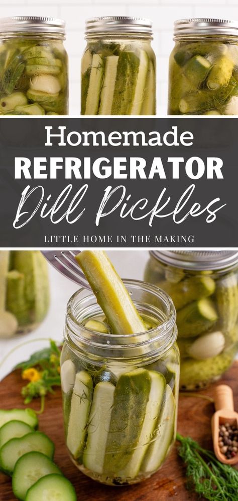 Pickles Cucumbers, Homemade Dill Pickles, Homemade Refrigerator Pickles, Refrigerator Pickles Dill, Refrigerator Pickle Recipes, Homemade Pickles Dill, Dill Pickle Recipe, How To Make Pickles, Best Pickles