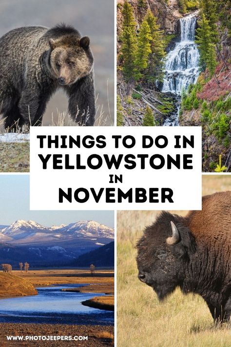 Use this guide to determine if November is the best time for you to visit Yellowstone in the fall. What to pack for a November trip to Yellowstone | Top reason for visiting Yellowstone in November | Biggest drawback for a November Yellowstone vacation | Yellowstone weather in November | Things to do; hiking trails; waterfalls; wildlife; photography in November | Places to stay near Yellowstone #nationalparks #yellowstone #november #photojeepers Packing List For Yellowstone In September, Packing For Yellowstone In September, Yellowstone Packing List Fall, Montana Packing List Fall, Yellowstone In October, Yellowstone In September, Yellowstone Vacation Planning, Wyoming Trip, Things To Do In Yellowstone