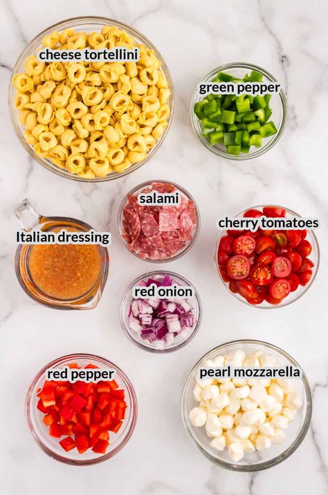 Summer Pasta Salad Tortellini, Cold Tortellini Salad Recipes, Grinder Salad Tortellini Pasta Salad, Grinder Sub Tortellini Pasta Salad, Tortellini Antipasto Salad, Costco Tortellini Pasta Salad, Tailgate Pasta Salad, Cold Cheese Tortellini Pasta Salad, Hot Pasta Salad Recipes