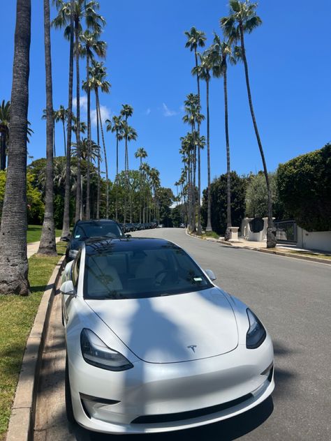 Tesla With Bow, White Tesla Model 3 Aesthetic, Tesla Model Y White Interior, Tesla White Aesthetic, White Tesla Aesthetic, Tesla Model 3 Aesthetic, White Car Aesthetic, White Tesla Model 3, Tesla Model Y White