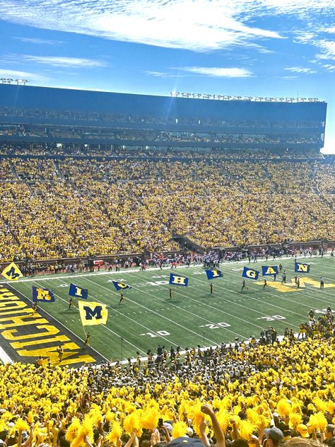 U Of Michigan, U Of M Aesthetic, Michigan Aesthetic Summer, Umich Aesthetic, Ethan Edwards, U Michigan, University Michigan, U Of M Football, Michigan College