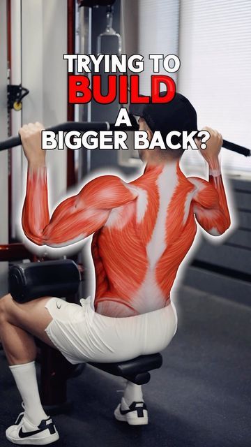 Nayim Shahdhar on Instagram: "Back workout! If you are trying to build a bigger back, you gotta give this effective science based workout a shot which is gonna target all the major muscles of your back. Number one, Chest supported rows, these are great for targeting your whole upper back musculature. Make sure to dig your feet into the ground for extra stability and pull the weight up towards your stomach. This will allow you to flare your elbows out to about 45 degree angle and fully retract y 45 Degree Angle, Back Number, Major Muscles, Back Workout, Your Back, Number One, Muscles, The Row, Science