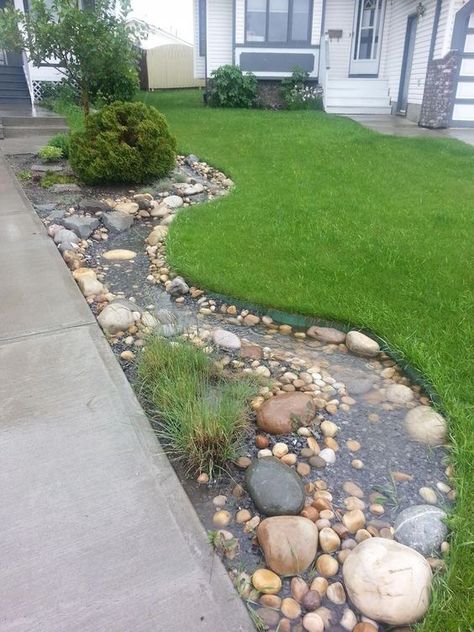 Rain Garden Design, Taman Air, Pond Landscaping, Backyard Water Feature, Front Landscaping, Rock Garden Landscaping, Rain Garden, Ponds Backyard, Garden Yard Ideas