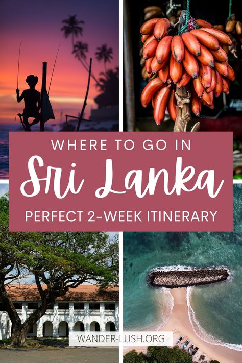 Sri Lanka 2 Week Itinerary, Sri Lanka 2 Weeks, Things To Do In Sri Lanka, Sri Lanka Travel Guide, Asia Travel Tips, Sri Lanka Aesthetic, Sri Lanka Honeymoon, Travel Sri Lanka, Sri Lanka Itinerary