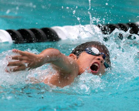 A young boy competes in freestyle swimming. A multi ethnic boy competes in frees , #AFF, #competes, #freestyle, #young, #boy, #swimming #ad Freestyle Swimming, Swim Team, Boys Swim, Outdoor Pool, Phonics, Pool Float, Stock Images Free, Vision Board, Photo Image