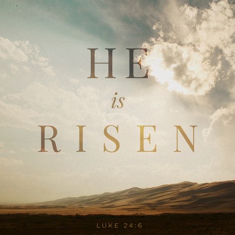 "Ele não está aqui, mas ressuscitou." Lc 24:6 He Is Risen Indeed, Son Of Man, Jesus Is Alive, He Has Risen, Daily Bible Reading, Daily Bible Study, The Son Of Man, He Is Risen, Daily Bible