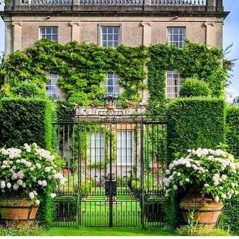 640 Likes, 11 Comments - Joe Ruggiero (@joeruggiero_collection) on Instagram: “@the_curated_home #highgrovegardens #hrhprincecharles #princeofwales #garden #royalgardens” Highgrove Garden, Highgrove House, Cornwall Garden, Modern English Country, Country Garden Design, English Country Decor, Georgian Architecture, Rural Retreats, English Country Gardens