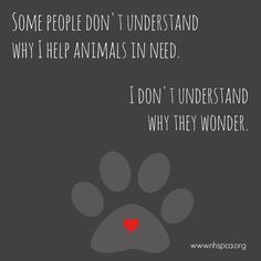 Some people don't understand why I help animals in need. I don't understand why they wonder ...                                                                                                                                                                                 More Rescue Dog Quotes, Rescue Quotes, Best Dog Quotes, Dogs Quotes, Dog Tumblr, Quotes Friends, Dog Lover Quotes, Dog Quotes Love, People Dont Understand