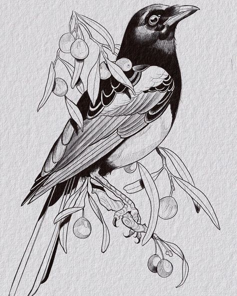 @brent_smith_tattoos: “Fun magpie piece for later this week!  #magpie #magpietattoo #runwithus #tattoo #tattoos…” Magpie Tattoo, Magpie Art, Crow Tattoo Design, Sparrow Tattoo, Brent Smith, Crow Tattoo, Tattoo Portfolio, Modern Tattoos, Time Tattoos