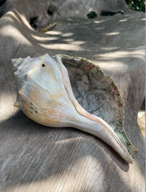 Conch Shell Decor, Liquid Gold Leaf, Sea Shells Diy, Home Decor Coastal, Friend Art, Decoupage Decor, Seashell Projects, Shells Diy, Nautical Crafts