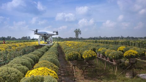 Bottle Gardening, Solar Charging Station, Gardening Scissors, Agricultural Revolution, Armstrong Flooring, Agriculture Industry, Lawrence Ks, Natural Ecosystem, Nuclear Power Plant