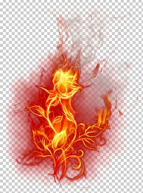 Fire Drawing Sketch, Rose On Fire Drawing, Rose Flower Drawing, Flaming Rose, Drawing Fire, Rose On Fire, Lotus Drawing, Burning Flowers, Geometric Art Animal