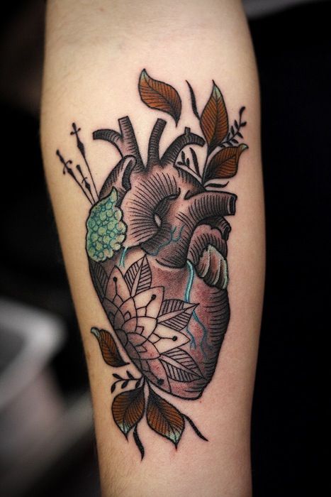 Anatomical heart tattoo.... WANT. This one is perfect. The colors and everything. 16 Tattoo, Anatomical Heart Tattoo, Muster Tattoos, Disney Tattoo, Tattoos Skull, Trash Polka, Anatomical Heart, Best Tattoo Designs, Pattern Tattoo