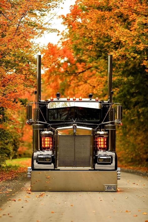 Semi Trucks Humor, Custom Peterbilt, Trucks For Sell, Diesel Pickup Trucks, Peterbilt Truck, Big Ford Trucks, Trucks Lifted Diesel, Peterbilt 389, Automobile Engineering