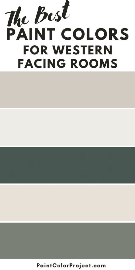 Davies Paint Color, Basement Wall Colors, Best Neutral Paint Colors, Warm Paint Colors, Blue Green Paints, Living Room Wall Color, Room Wall Colors, Best White Paint, Off White Paints