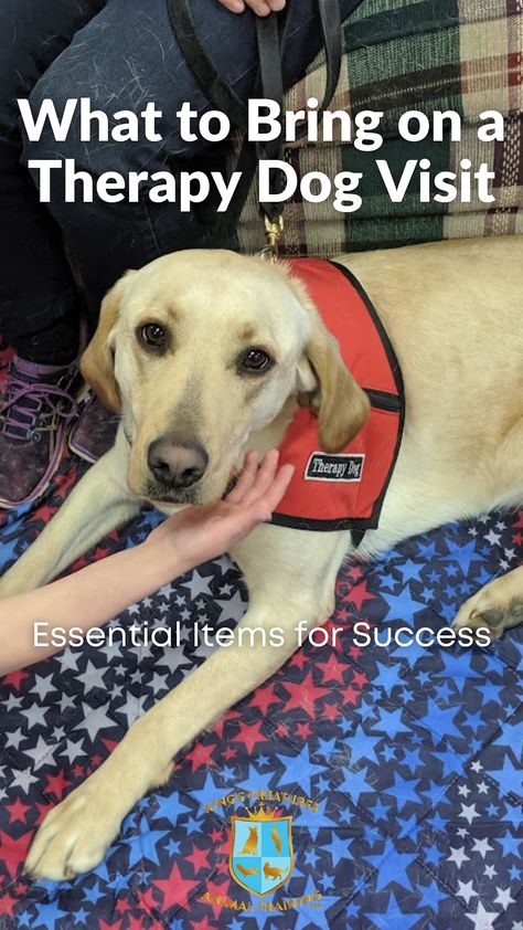 What to bring on your therapy dog visit for success! School Therapy Dog Ideas, Therapy Dog Aesthetic, Animal Assisted Therapy, Therapy Dog Training, Service Dogs Gear, Therapy Dog, Therapy Animals, Dog Essentials, Therapy Dogs