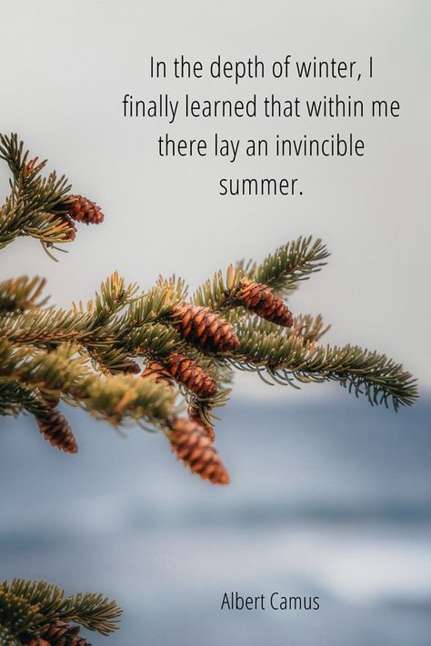 In the depth of winter, I finally learned that within me there lay an invincible summer. -Albert Camus An Invincible Summer, Invincible Summer, Albert Camus, Meaningful Words, Beautiful Images, Quotes