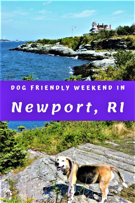 The beautiful Newport in Rhode Island is a perfect getaway from Boston. Visiting Newport with a dog proved very easy, as it’s a very dog friendly destination. Check out all the best dog friendly activities in Newport, Rhode Island. #newportrhodeisland #newenglandtravel #dogfriendlydestinations Newport Rhode Island Fall Weekend, Best Restaurants In Newport Rhode Island, Dog Friendly New England, Visit Rhode Island, Dog Friendly Vacation East Coast, Newport Bridge Rhode Island, Dog Friendly Vacation, Dog Friendly Hotels, The Sound Of Waves