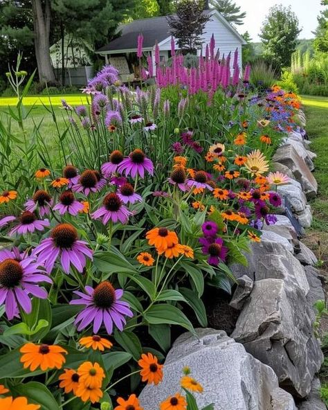 Front Flower Bed Ideas Full Sun, Perennial Flower Bed, Side Gardens, Dream Boards, Backyard Flowers Garden, Black Eyed Susans, Front Flower Beds, Friendship Bread, Florida Landscaping