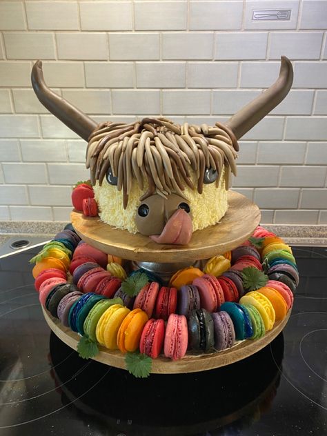 Cow Macarons, Macarons Birthday, Scottish Party, Rainbow Macarons, Cow Cake, Cake Rainbow, Cow Cakes, Scottish Highland Cow, Cut Animals