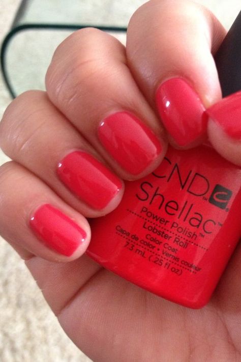 So, these are the 10 most popular shellac colours in the entire... Cnd Lobster Roll, Red Shellac, Nail Shellac, Shellac Colours, Shellac Nails Summer, Cnd Shellac Colors, Shellac Nail Colors, Nail Polish Colors Summer, Popular Nail Colors