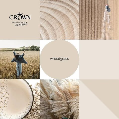 Wheatgrass Crown Paint, Crown Wheatgrass Paint, Colour Nursery Ideas, Crown Paint Colours Neutral, Warm Neutral Living Room Paint Colors, Neutral Wall Colors Bedroom, Beige Walls Bedroom Colour Palettes, Neutral Wall Color For Living Room, Best Hallway Paint Color