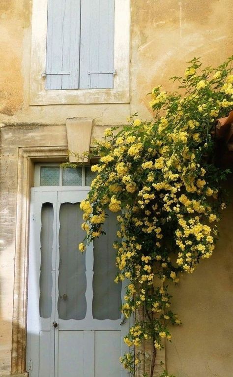 Yellow Europe Aesthetic, Brown Aesthetic Nature, Yellow Brown Aesthetic, Italy Aesthetic, Aesthetic Nature, Italian Summer, Shooting Photo, Yellow Aesthetic, Brown Aesthetic