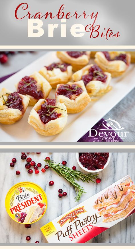 Baked Cranberry Brie, Kalefornia Kravings, Cranberry Brie Bites, Cranberry Baking, Cranberry Brie, Brie Bites, Thanksgiving Cooking, Daily Recipes, Appetizer Bites