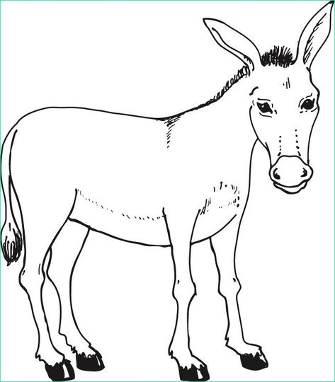 Nativity Coloring Pages, Puppy Coloring Pages, Fox Painting, Cartoon Cow, Black And White Lines, Desktop Pictures, Lets Go, Free Printable Coloring, Free Hd Wallpapers