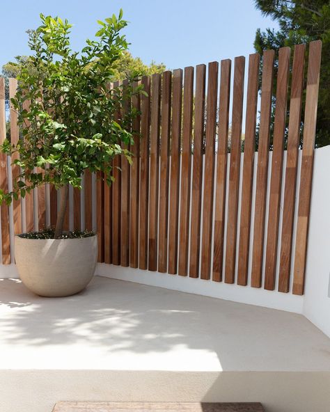 25 Garden Fence Ideas That Transform Your Outdoor Space with Style and Functionality - placeideal.com Front Yard Wood Fence Ideas, Patio Fence Ideas Yard Privacy, 4ft Fence Ideas, Privacy Fence Ideas On A Budget, Affordable Fence Ideas, Wooden Privacy Fence Ideas, Vegetable Garden Fences, Fence Ideas For Dogs, Modern Horizontal Fence