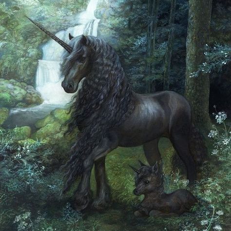 THE BLACK FOREST UNICORN BY ANNIE STEGG Annie Stegg, Unicorn Artwork, Dragon Horse, April Art, Unicorn And Fairies, Magical Horses, Unicorn Pictures, Black Unicorn, Fantasy Horses