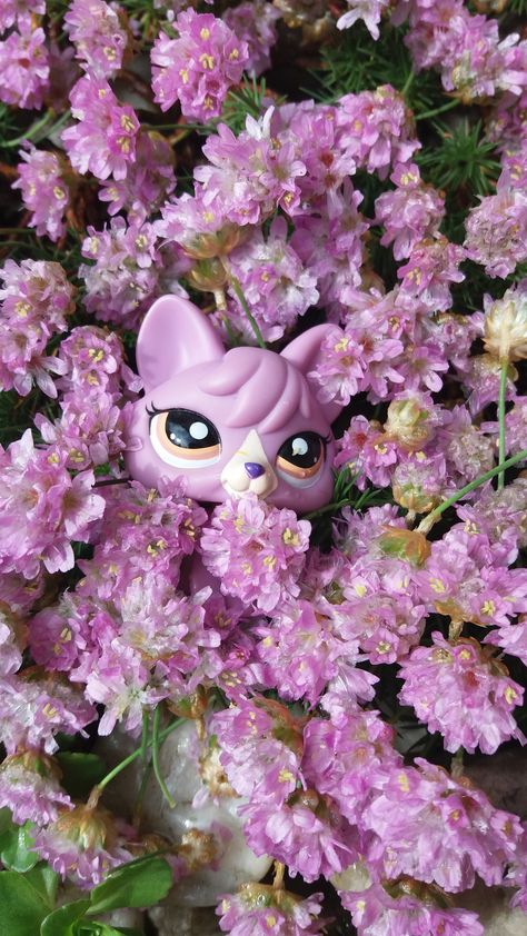 Lps Wallpaper Aesthetic, Lps Wallpaper, Lps Nostalgia, Lps Photography, Lps Crafts, Funky Tights, Lps Popular, Lps Toys, Lps Pets