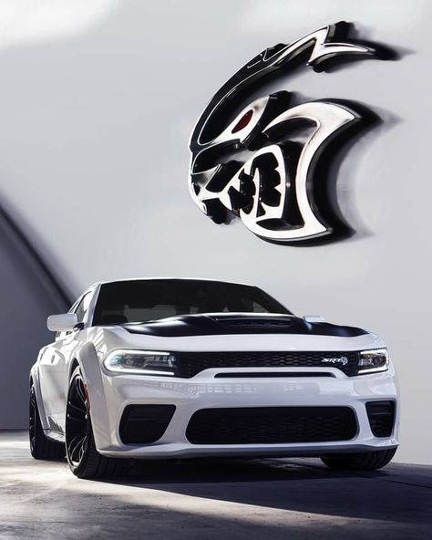 Hell Cat Charger, Hellcats Srt, Srt Redeye, Lamborghini Wallpapers, Hellcat Srt, Dodge Charger Srt Hellcat, Hell Cat, Dodge Charger Hellcat, Luxury Cars Audi