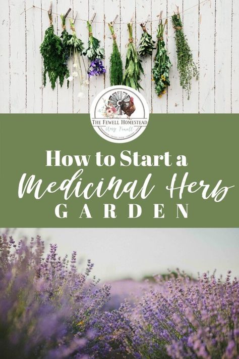 Medicinal Gardening, Medicinal Herb Garden, Fun Garden Art, Medicine Garden, Small Herb Gardens, Outdoor Herb Garden, Whimsical Garden Art, Medicinal Herbs Garden, Diy Herb Garden