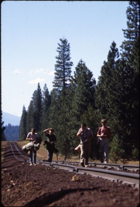 Walking in the train tracks Walking On Train Tracks, Stand By Me Film, Corey Feldman, Wil Wheaton, River Phoenix, Iconic Wallpaper, Adventure Aesthetic, Movie Shots, Movie Director