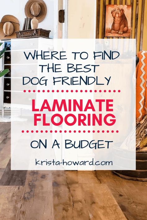 Where to Find the Best Dog Friendly Laminate Flooring on a Budget Best Flooring For Dogs, Exterior Home Improvement Ideas, Flooring On A Budget, Budget Friendly Living Room, Farmhouse Bedroom Furniture, Easy Diy Home Projects, Learn Interior Design, Installing Laminate Flooring, Budget Furniture