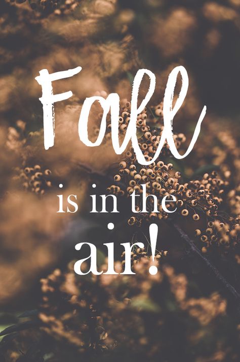 Fall is in the air! Fall Is In The Air Quotes, Air Wallpaper, Air Quotes, Fall Is In The Air, Fall Weather, Iphone Wallpapers, Fondos De Pantalla, Ongles, Calm Artwork