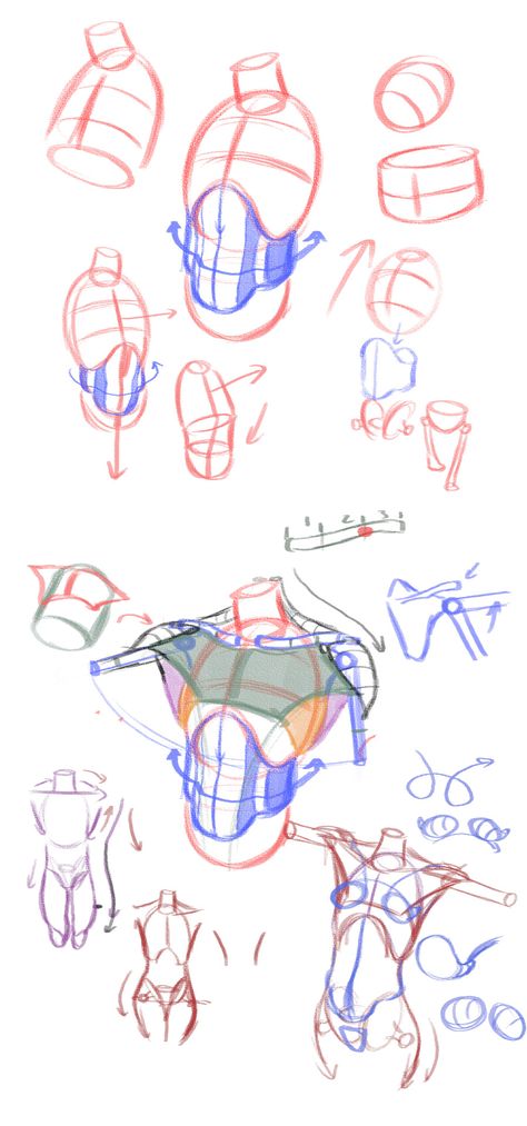 radfordsechrist: You can sign up for Construction... - Art References Rad Sechrist, Male Figure Drawing, Some Drawings, Výtvarné Reference, Human Anatomy Drawing, Human Figure Drawing, Human Anatomy Art, Anatomy Sketches, Anatomy For Artists