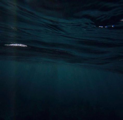 Ocean Depth Thallasophobia Pictures, Thalassophobia Pictures, Deep Water Aesthetic, Thalassophobia Aesthetic, Ocean Horror, Ocean Grunge, Dark Nautical, Ocean Monsters, Scary Ocean