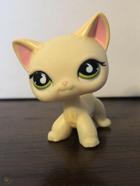 lps authentic Shorthair Cat #733 | #1992379420 Lps Shorthair Cat, Lps Shorthair, Border Collie Art, Lps Popular, Lps Accessories, Lps Cats, Fisher Price Baby, Lps Toys, Lps Pets