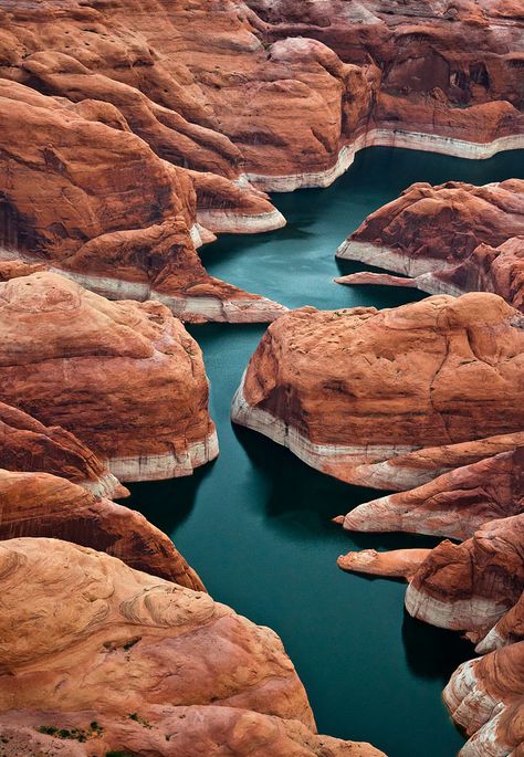 30 Majestic Canyon Photographs « Stockvault.net Blog – Design and ... Lake Powell Arizona, Halong Bay, Lake Powell, Body Of Water, Red Rocks, Colorado River, Pretty Places, Aerial View, Beautiful Photography