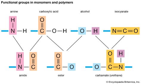 polymer (chemistry) - Videos and Images | Britannica Nettle Plant, Polymer Chemistry, Functional Group, Hydrogen Atom, Carboxylic Acid, Induce Labor, Silicone Caulk, Stinging Nettle, Plant Cell