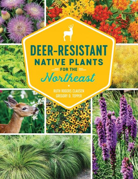 New Book Gives Advice to Native Plant Lovers Battling Deer - GardenRant American Garden, Deer Resistant Plants, Good Environment, Pollinator Garden, Book App, Oh Deer, Play Book, Garden Pests, Landscaping Plants