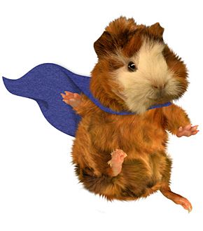 Wonder Pets Linny, Franklin Cartoon, The Wonder Pets, The Squad, Cartoon Childhood, 90s Cartoon Characters, Wonder Pets, Childhood Tv Shows, Pig Art