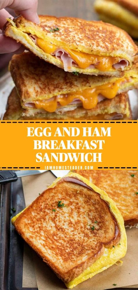 Ham Breakfast Recipes, Egg And Ham Breakfast, Ham Breakfast Sandwich, Ham And Egg Sandwich, Quick Breakfast Sandwich, Egg Breakfast Recipes Easy, Easy Breakfast Sandwich, Eggs Cheese Breakfast, Egg Sandwich Recipe