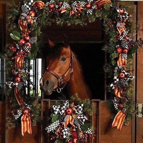 Christmas in the horse barn. Christmas Horse Stall Decorating Ideas, Horse Stall Decorations, Stall Decorations, Christmas Barn, Christmas Horses, Barn Decor, Horse Stalls, All The Pretty Horses, Horse Decor