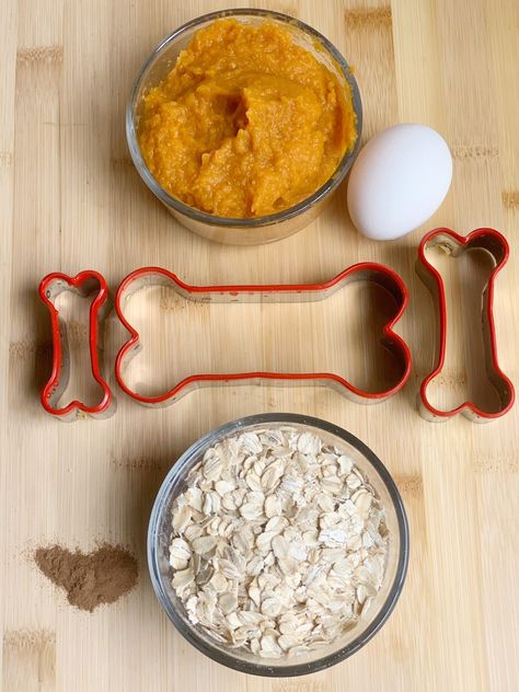 Made with just 3 ingredients + cinnamon, this oatmeal pumpkin dog treat recipe is a healthy alternative to store-bought treats. Dog Treats With Oatmeal, Healthy Pumpkin Dog Treats, Easy Healthy Dog Treats Recipes, Zucchini Dog Treat Recipes, Homemade Pumpkin Dog Treats Easy, Dog Recipes Treats, Dog Pumpkin Treats, Dog Treat Recipes Pumpkin, Pumpkin Oatmeal Dog Treats